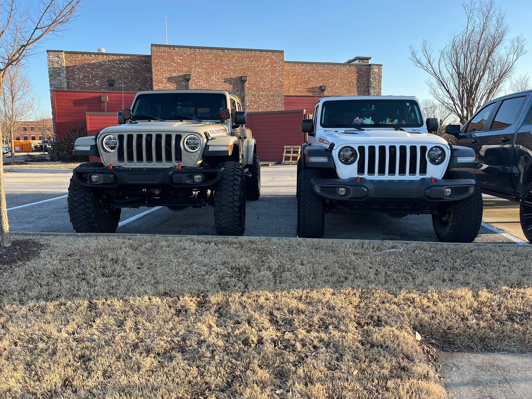 Jeep Gladiator Jeeps Parking Next To Jeeps IMG_9933