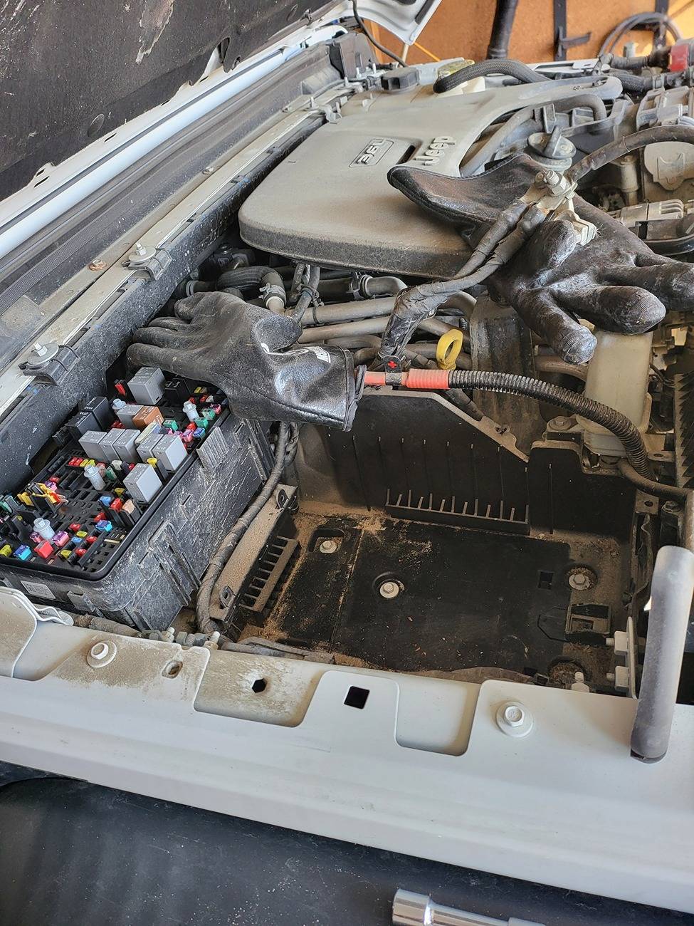 Jeep Gladiator What did you do TO your Gladiator today? [ADMIN WARNING: NO POLITICS, NO GUN TALK] 20250326_164707
