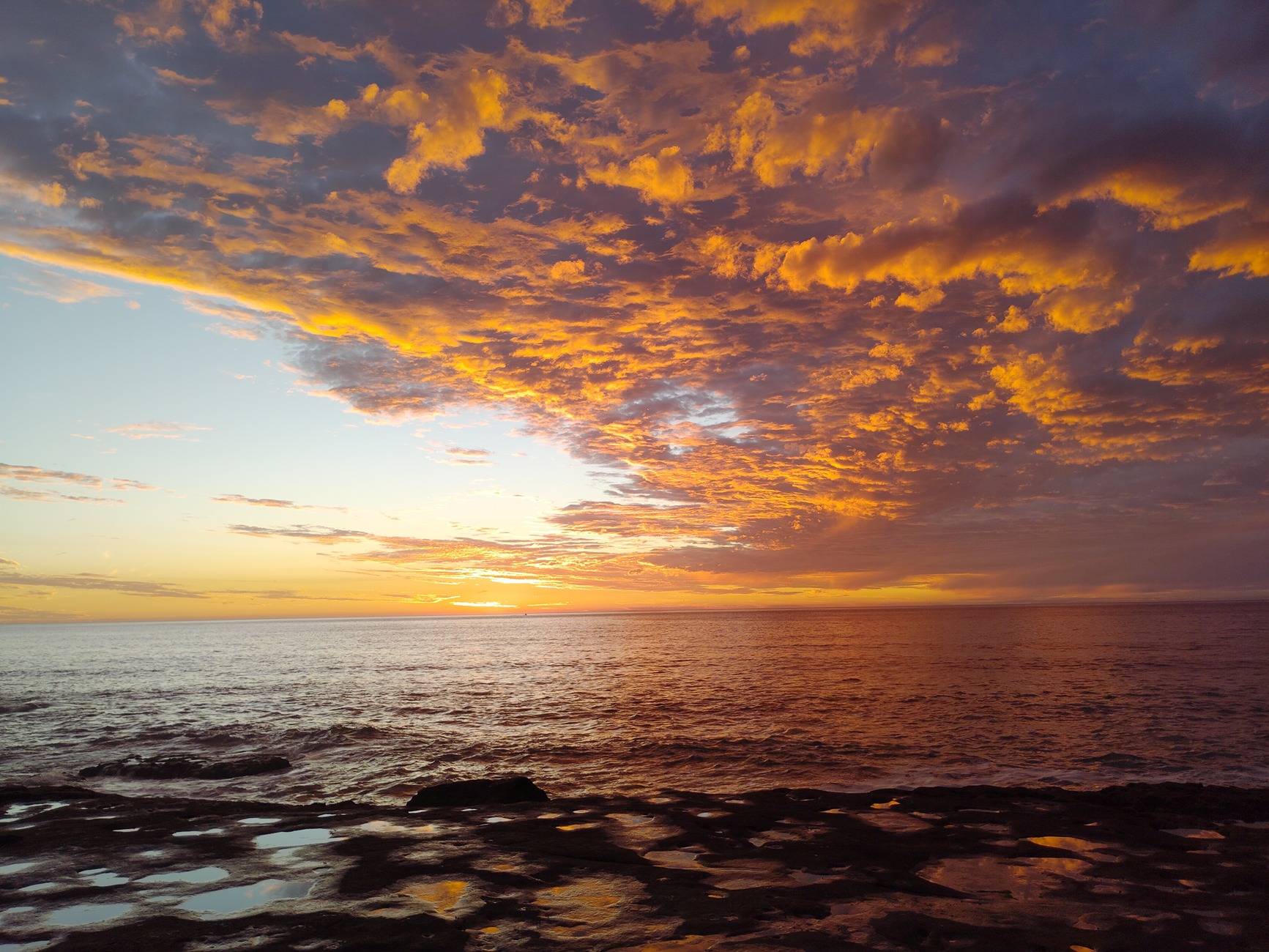 IMG_20241129_164707.jpg