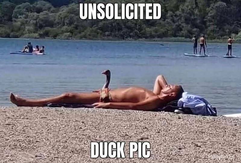 Jeep Gladiator O duck pic