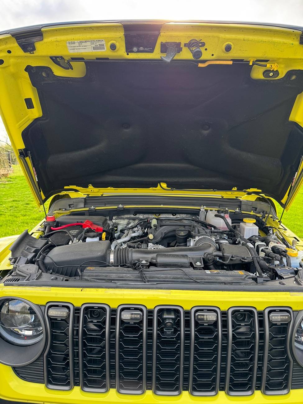 Jeep Gladiator What did you do TO your Gladiator today? [ADMIN WARNING: NO POLITICS, NO GUN TALK] IMG_2243