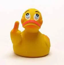 Jeep Gladiator Do ducks send subliminal messages? FU Duck