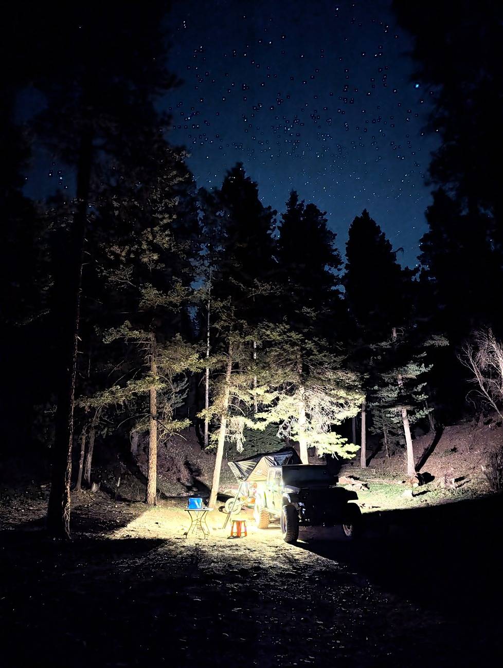 PXL_20250430_044152824.NIGHT.jpg