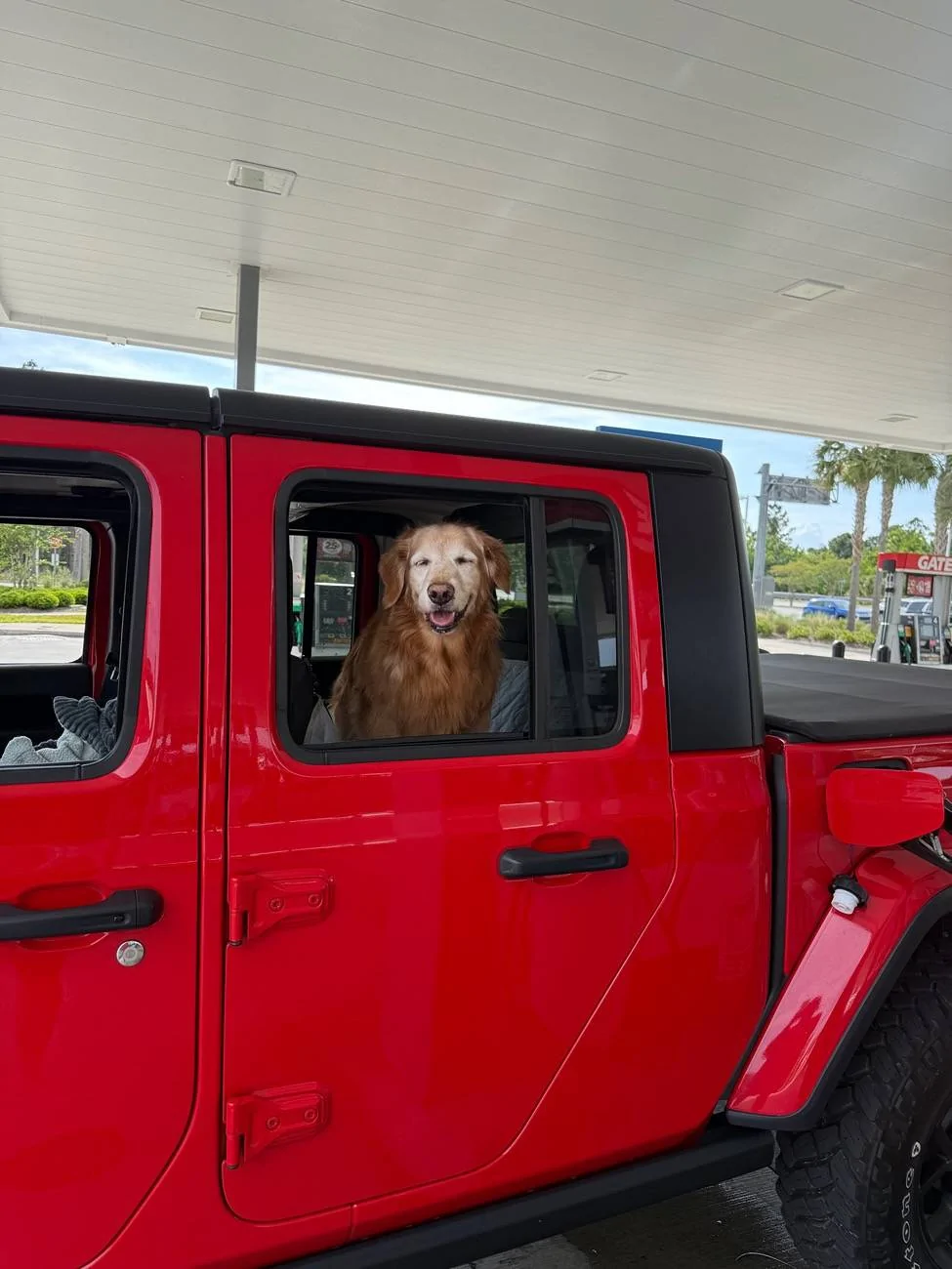 Jeep Gladiator Let’s see your pets cause they are the best companion you can have!!!!! IMG_7034