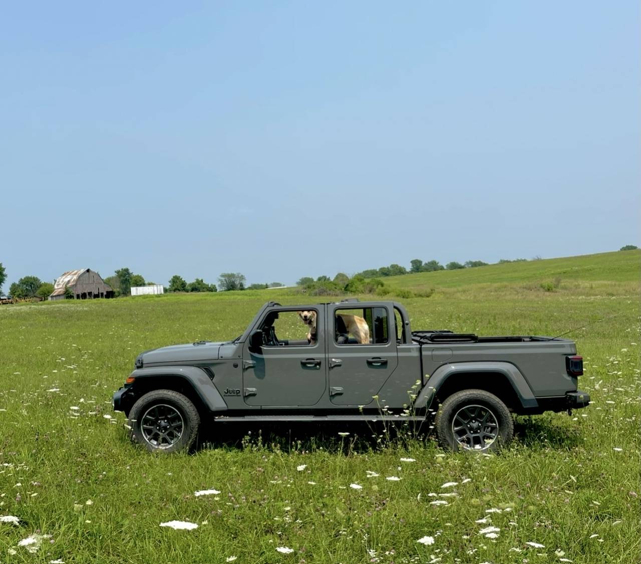 Jeep Gladiator Dogs and Jeeps IMG_4115