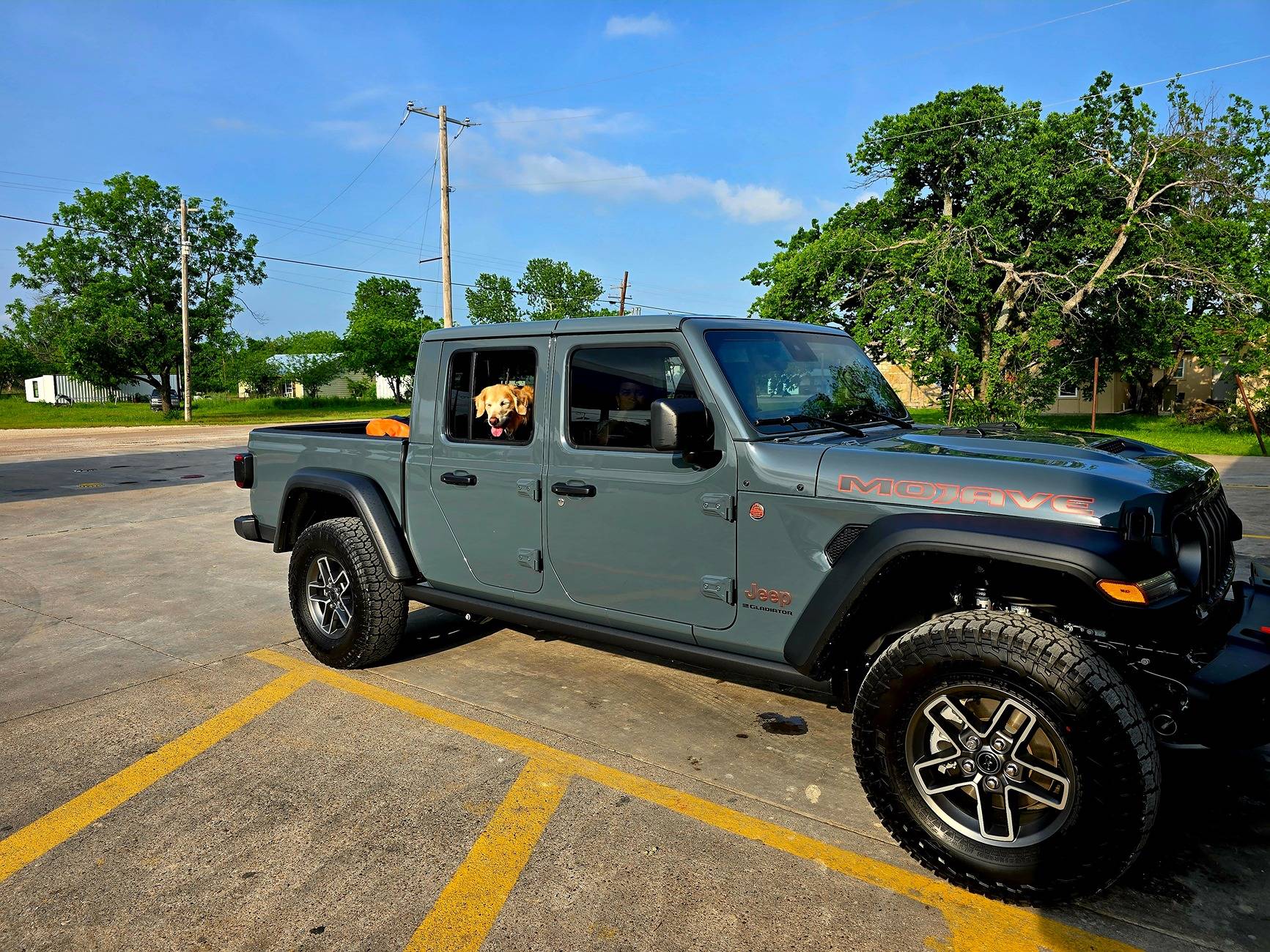 Jeep Gladiator Dogs and Jeeps 1000009352