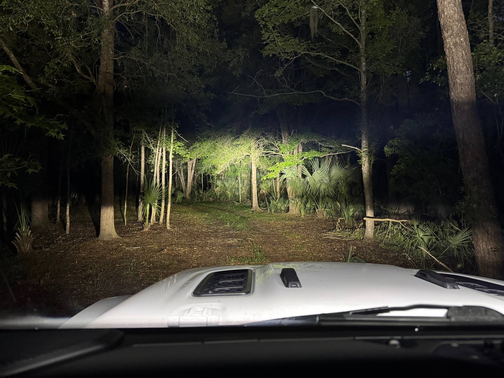 Jeep Gladiator Off road lights - what's everyone running? IMG_0425