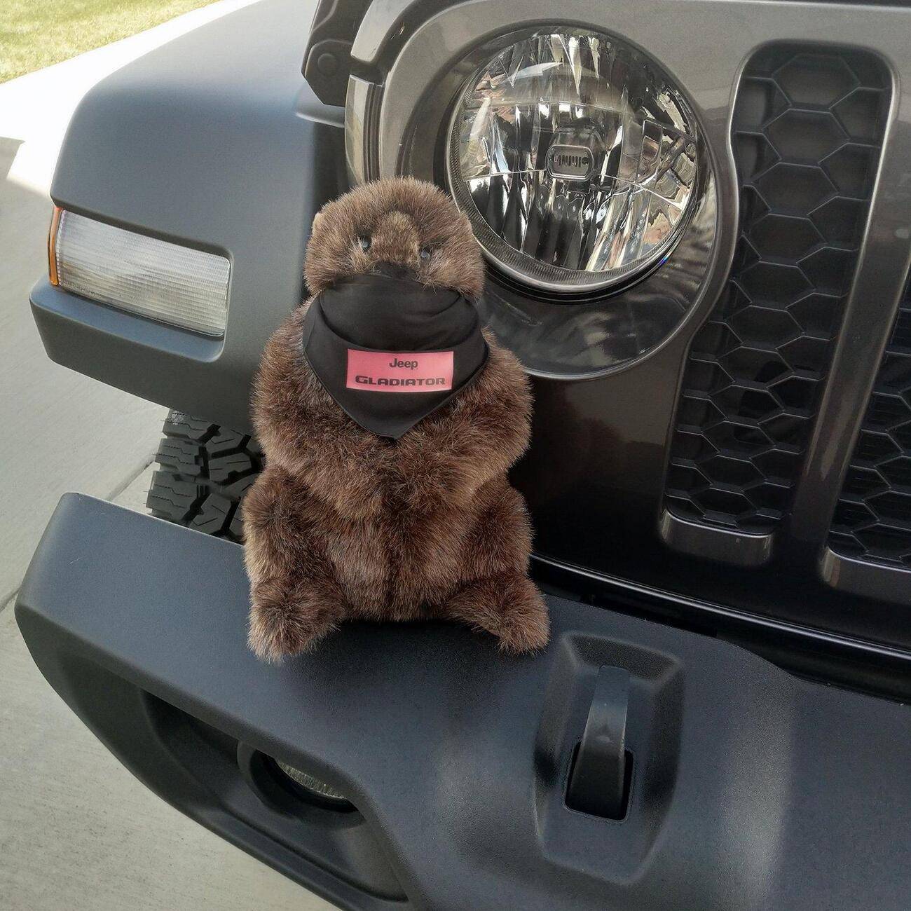 Jeep Gladiator Looking for  Jeep Groundhog 1746756555897-sl