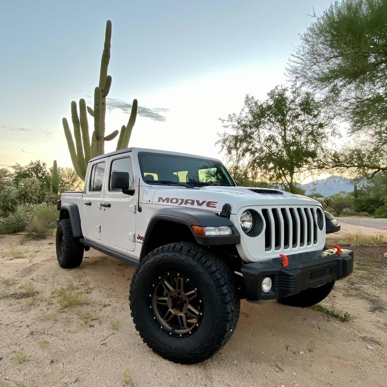 Jeep Gladiator Cartoonize your JT (PICS) IMG_7636