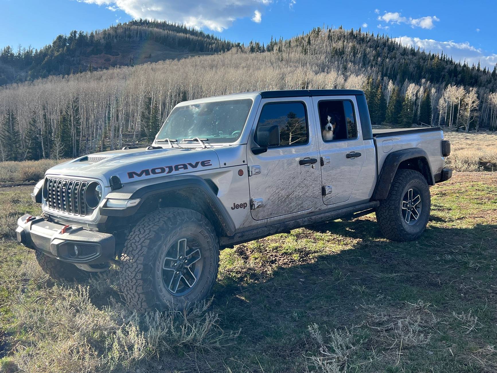 Jeep Gladiator What did you do WITH your Gladiator today? IMG_2046