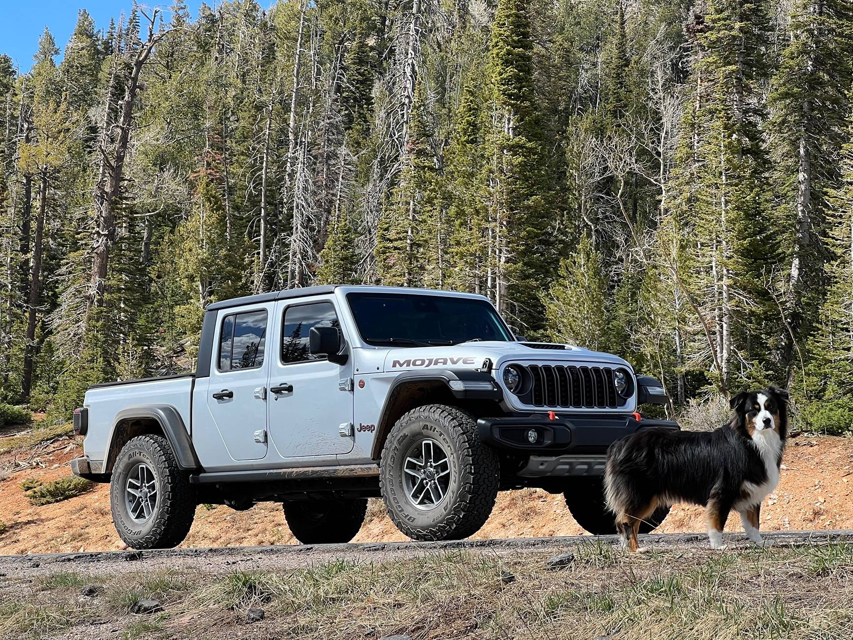 Jeep Gladiator What did you do WITH your Gladiator today? IMG_2003
