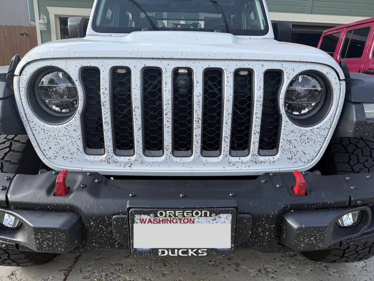 Jeep Gladiator What did you do WITH your Gladiator today? IMG_1010