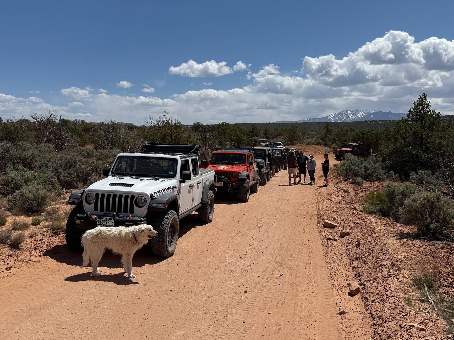 Jeep Gladiator Easter Jeep Safari 2025 Pics from Moab - Post Yours! IMG_0287