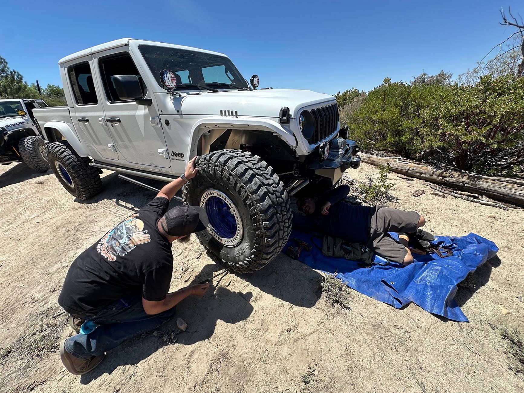 Jeep Gladiator What did you do WITH your Gladiator today? IMG_3971