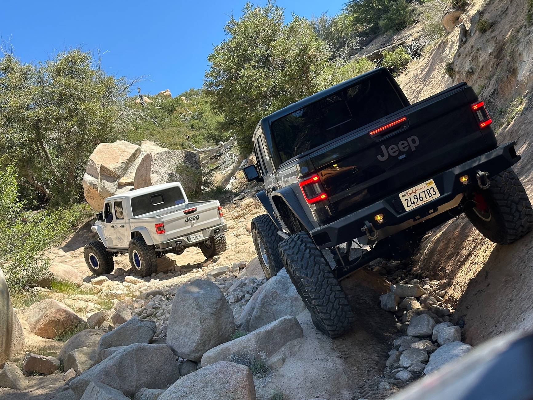 Jeep Gladiator What did you do WITH your Gladiator today? IMG_3955