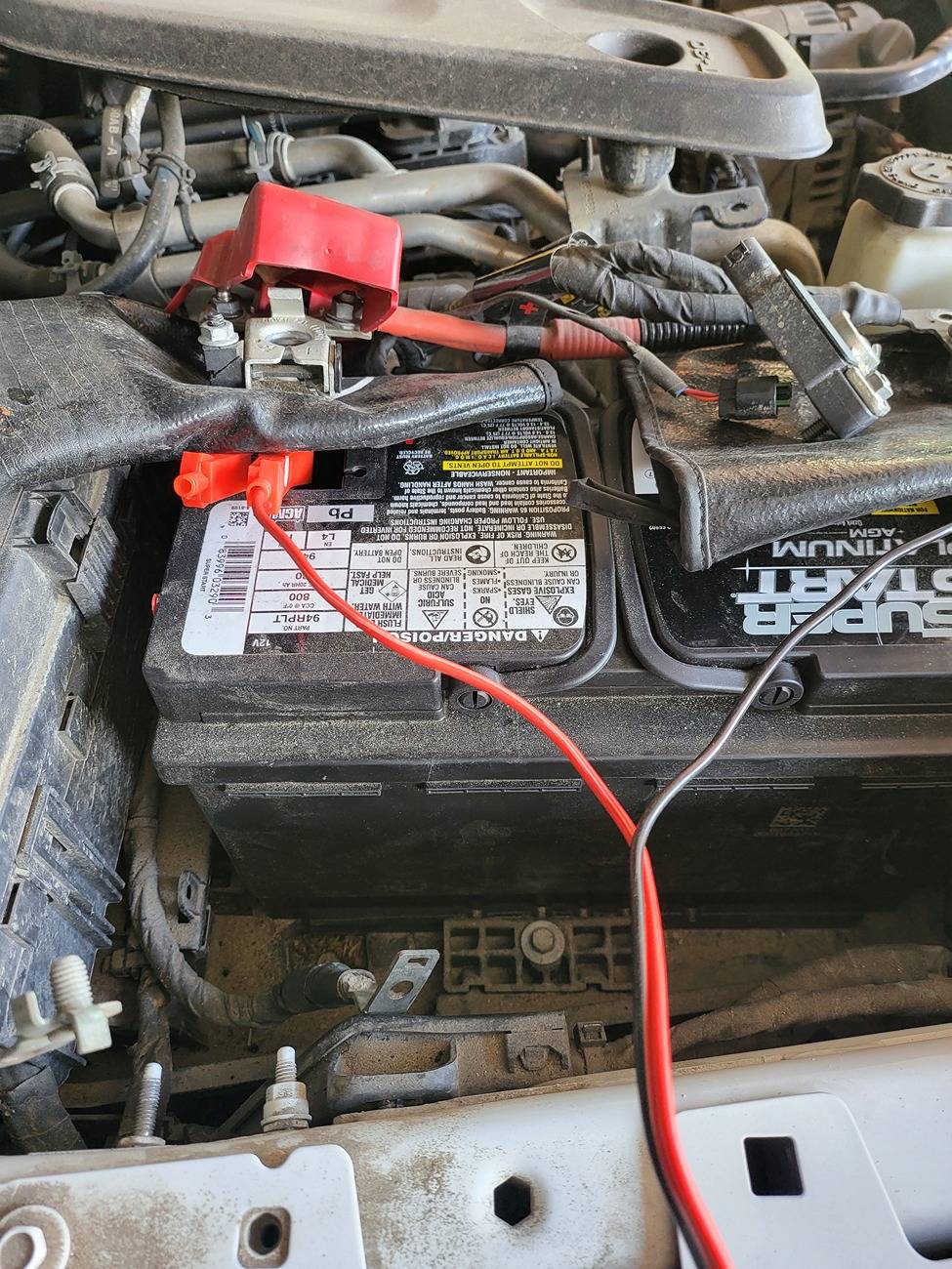 Jeep Gladiator What did you do TO your Gladiator today? [ADMIN WARNING: NO POLITICS, NO GUN TALK] 20250514_185045