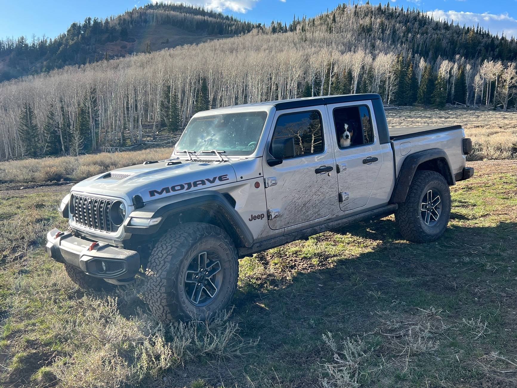 Jeep Gladiator Are You a Cat Person or a Dog Person? IMG_2053