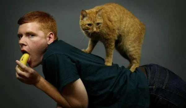 Jeep Gladiator Are You a Cat Person or a Dog Person? The Absolute Worst Pictures of Men Holding Cats