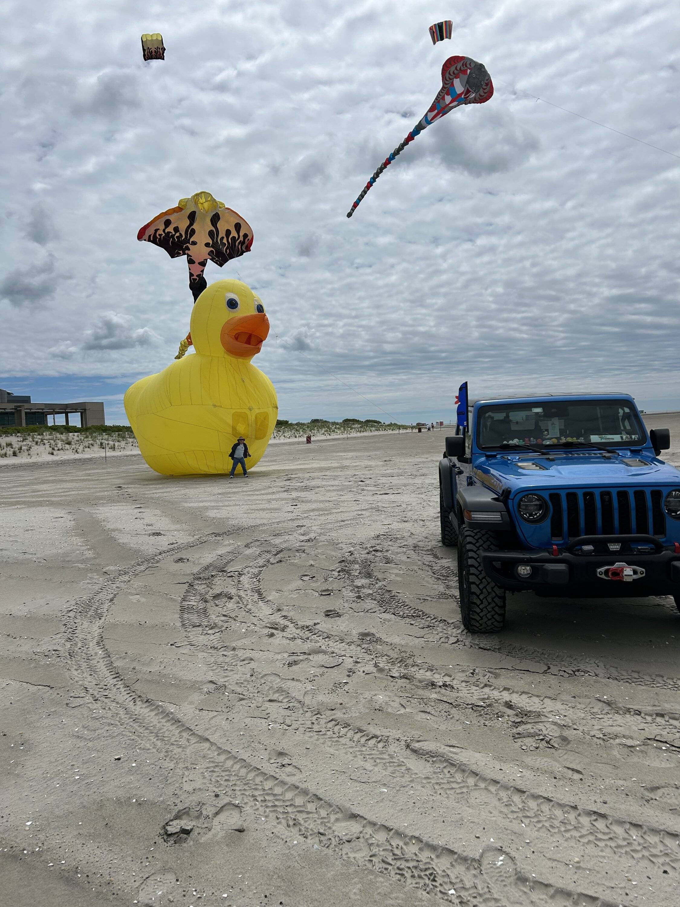 Jeep Gladiator Day on the beach with my gladiator and duck IMG_5590