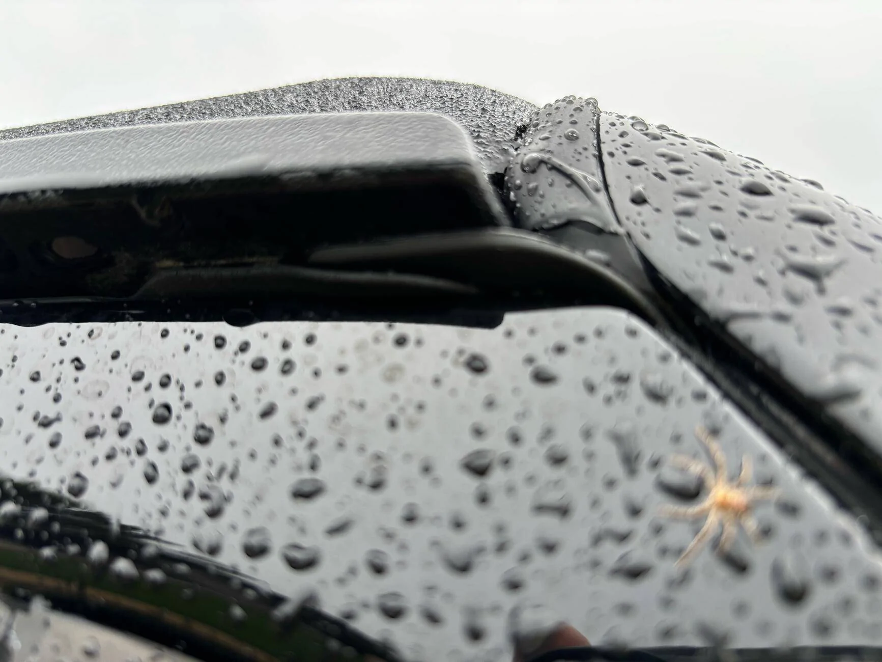 Jeep Gladiator Sunrider owners - MY mess-up, or theirs? tempImageBgtJ3P