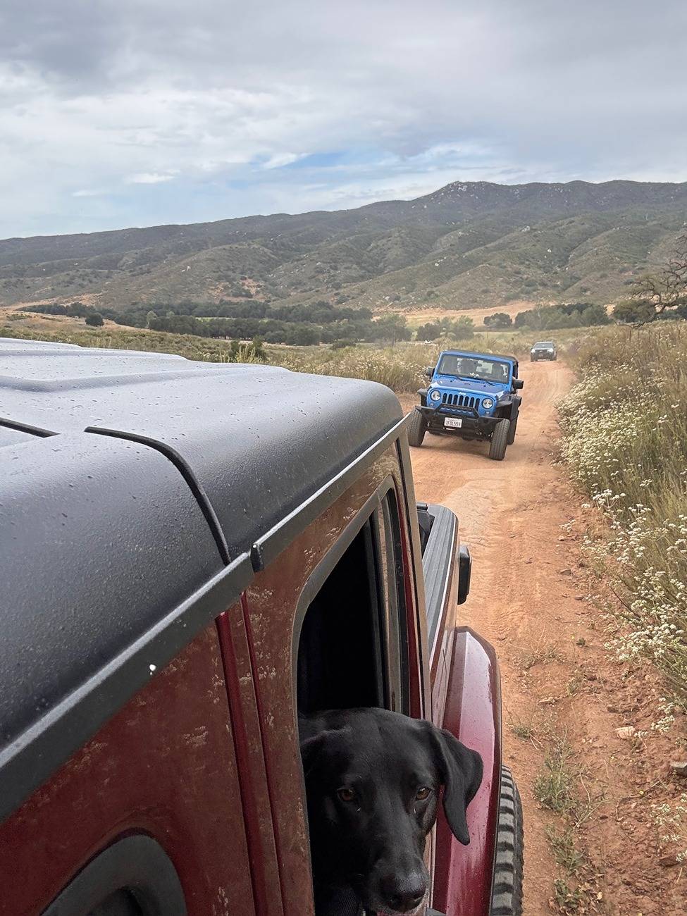 Jeep Gladiator Cleveland National Forest Black Mountain trail IMG_6805