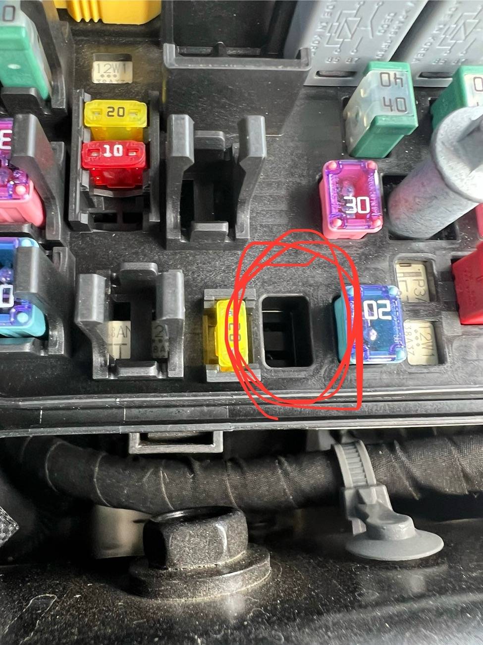 IMG_2450.jpeg