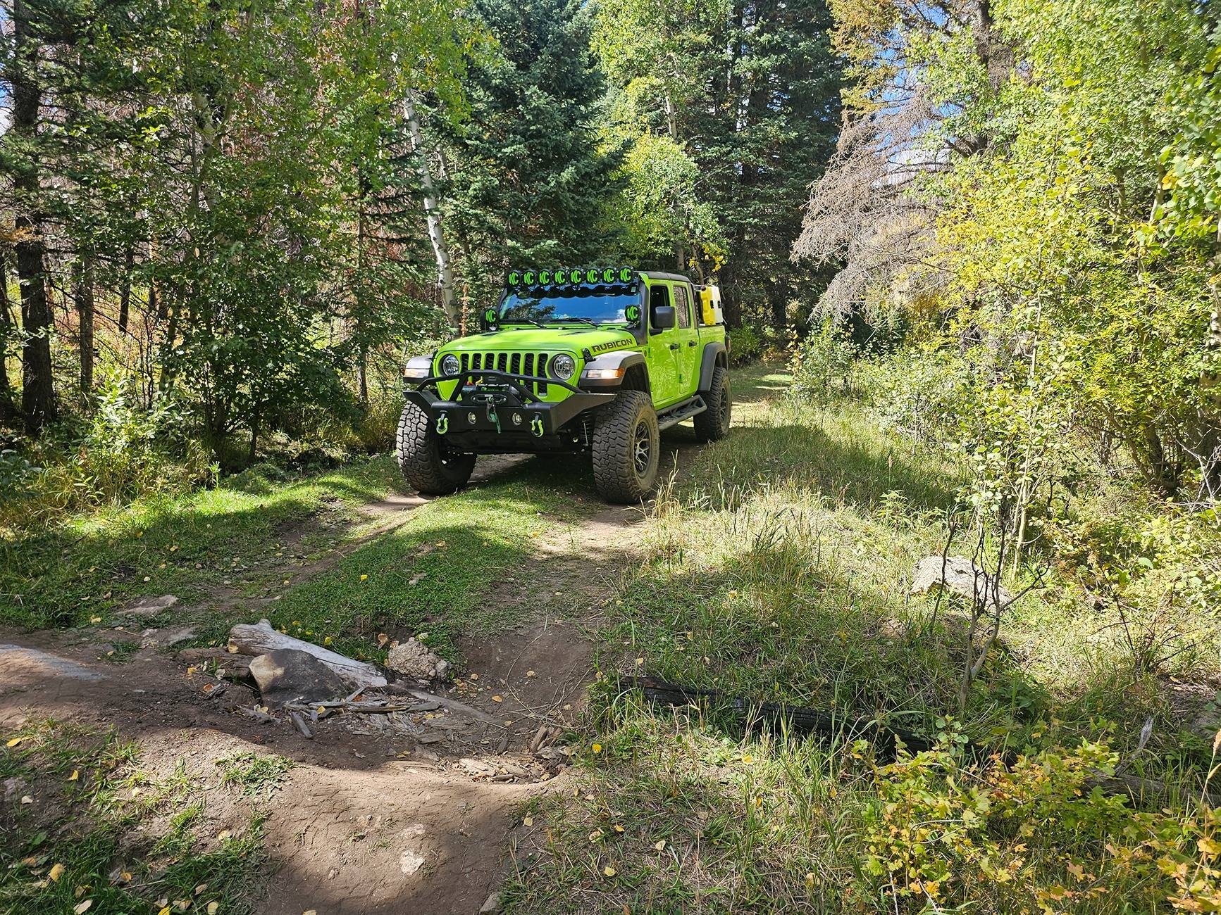 Jeep Gladiator My Gecko Gladiator showed up today! 20240920_124339