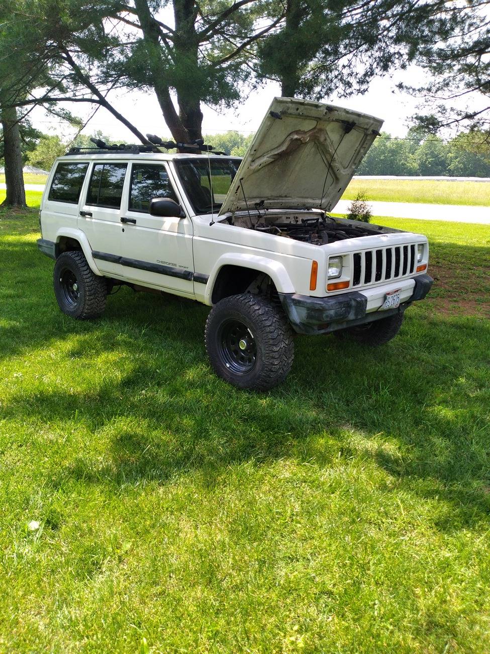Jeep Gladiator Lets See Your Other Rides!! 20250603_145331