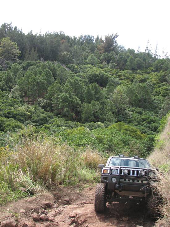 Jeep Gladiator Lets See Your Other Rides!! H32ndbreak2