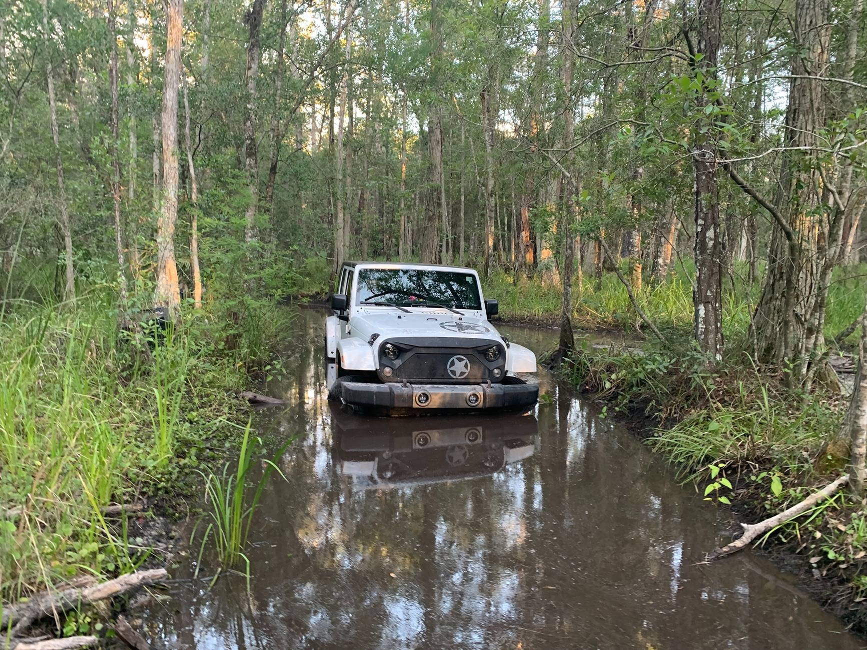 Jeep Gladiator Lets See Your Other Rides!! IMG_1995