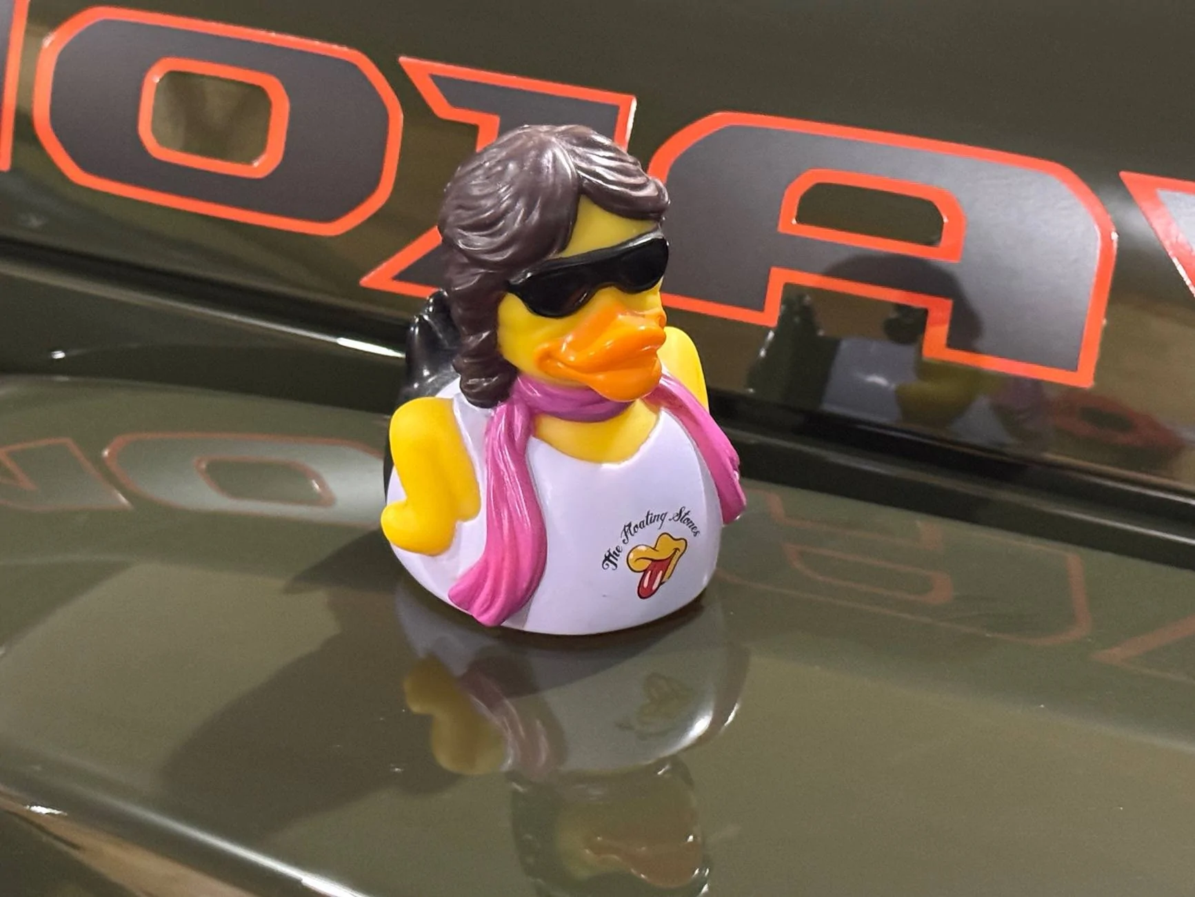 Jeep Gladiator Do ducks send subliminal messages? IMG_9291