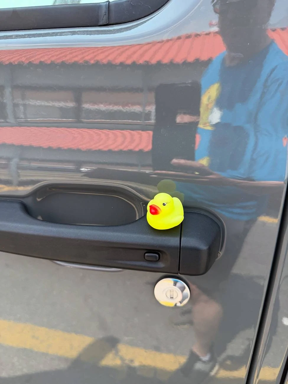 Jeep Gladiator Do ducks send subliminal messages? 08FA42C2-4D51-4423-8FD3-711E8F744B8F