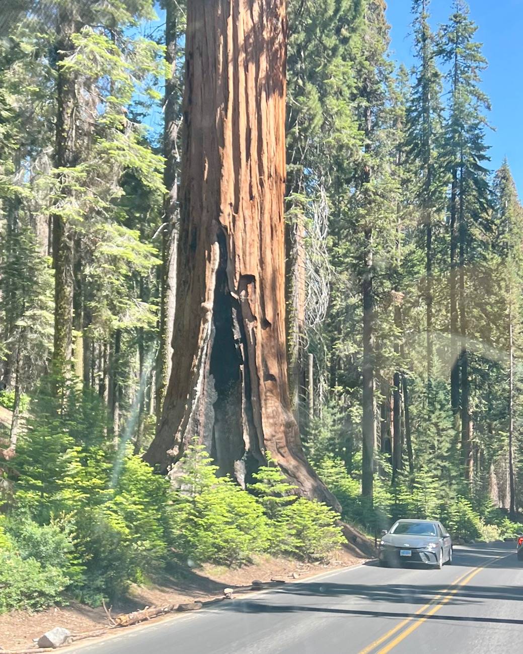 Jeep Gladiator Coast to Crawl: South Carolina to Rubicon Trail and back IMG_9514