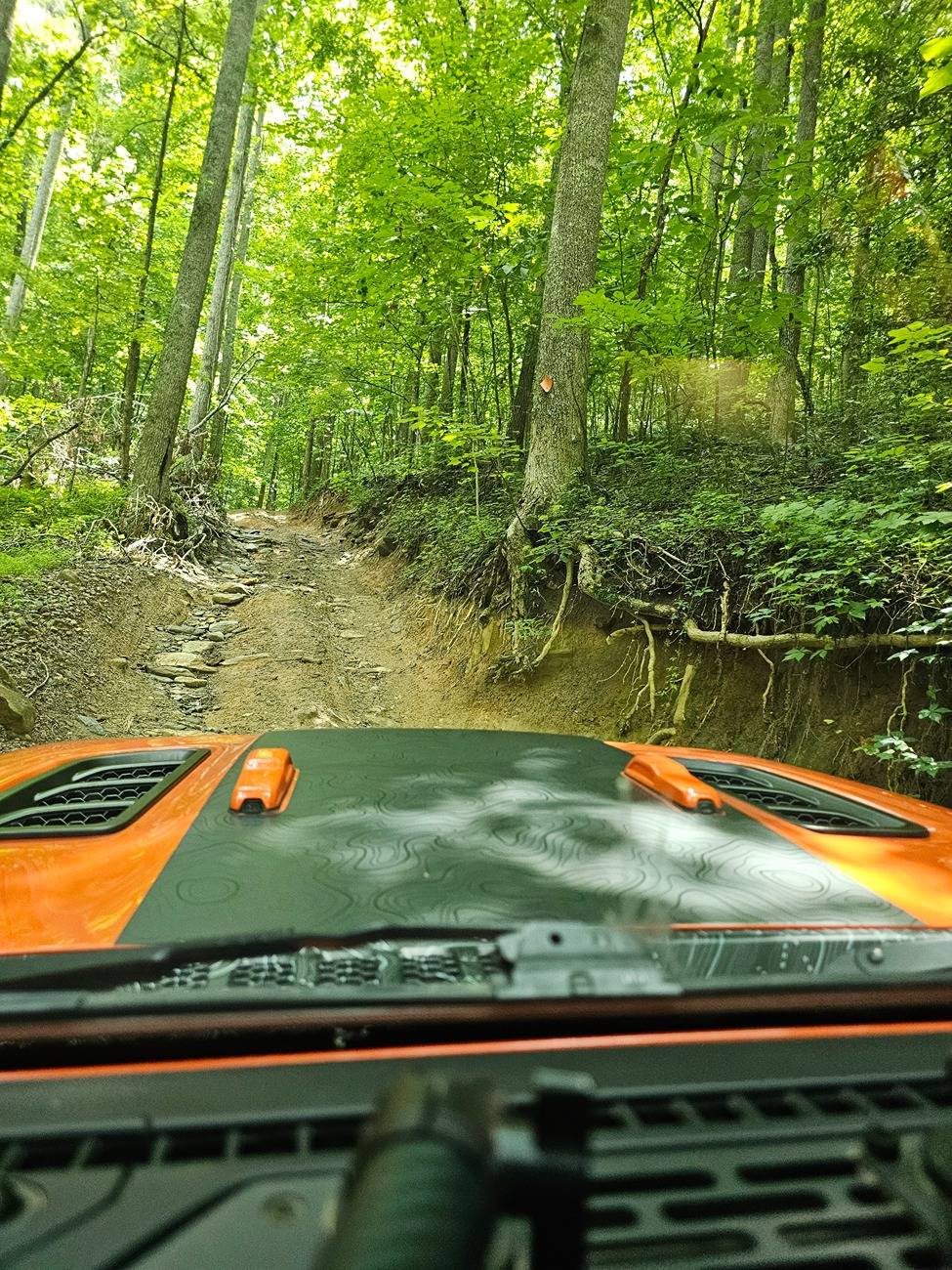 Jeep Gladiator What did you do WITH your Gladiator today? 1000009971