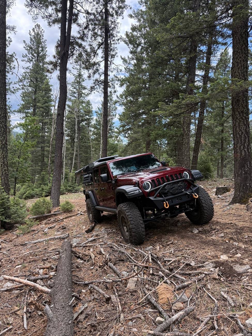 Jeep Gladiator Overlanding ASMR - Exploring the Backcountry Mountains for a High Country Dispersed Camp IMG_7909
