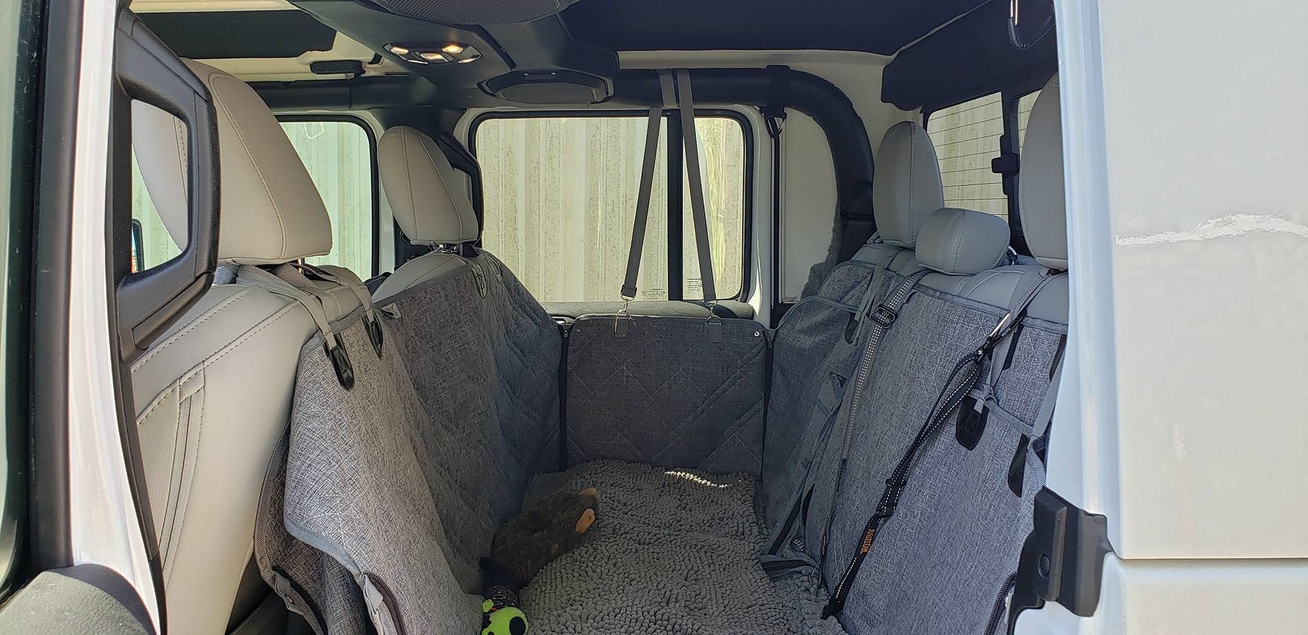 Jeep Gladiator Overlanding/Camping with 2 Australian Shepherds 20250709_111928