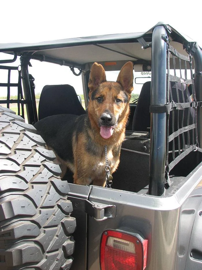 Jeep Gladiator Dogs and Jeeps kingstonj