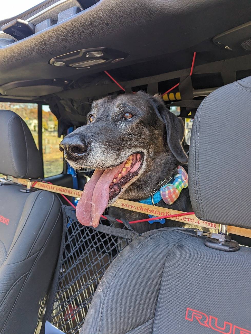 Jeep Gladiator Dogs and Jeeps PXL_20241023_150228563
