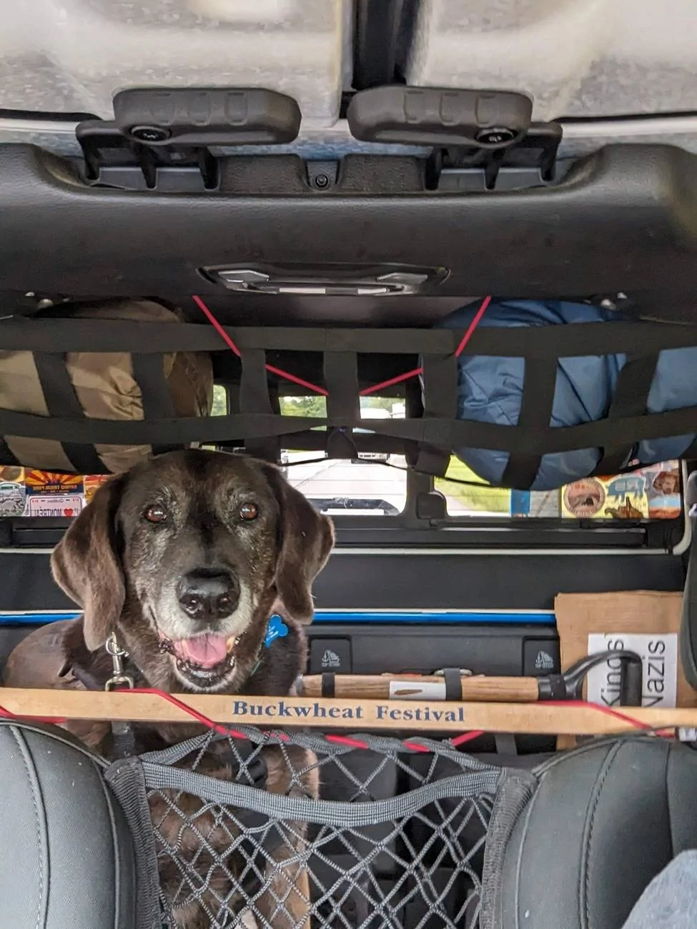 Jeep Gladiator Dogs and Jeeps PXL_20250528_142352277