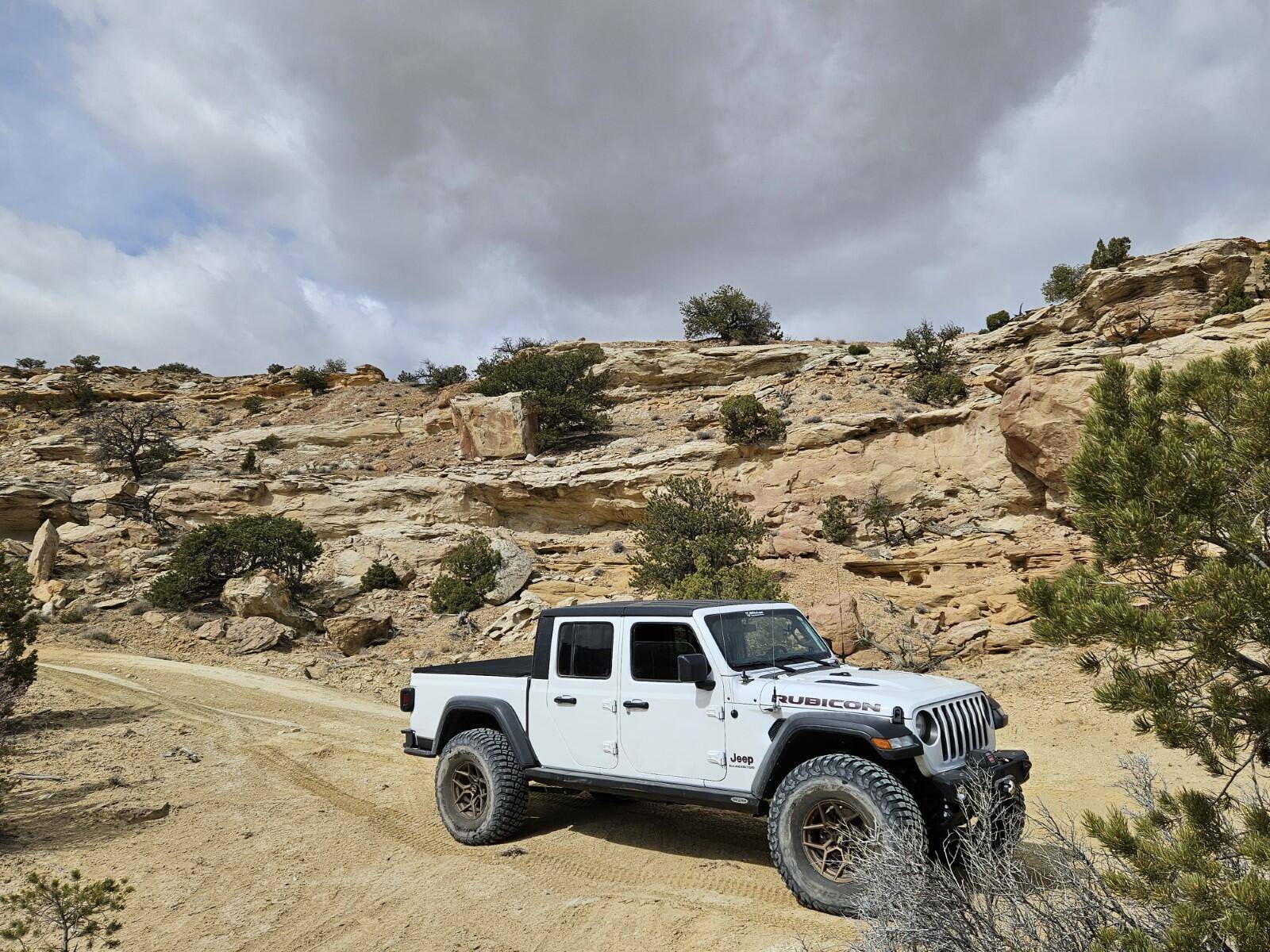 Jeep Gladiator Any 38x12.5’s that fit under the bed? 1752585905140-9s