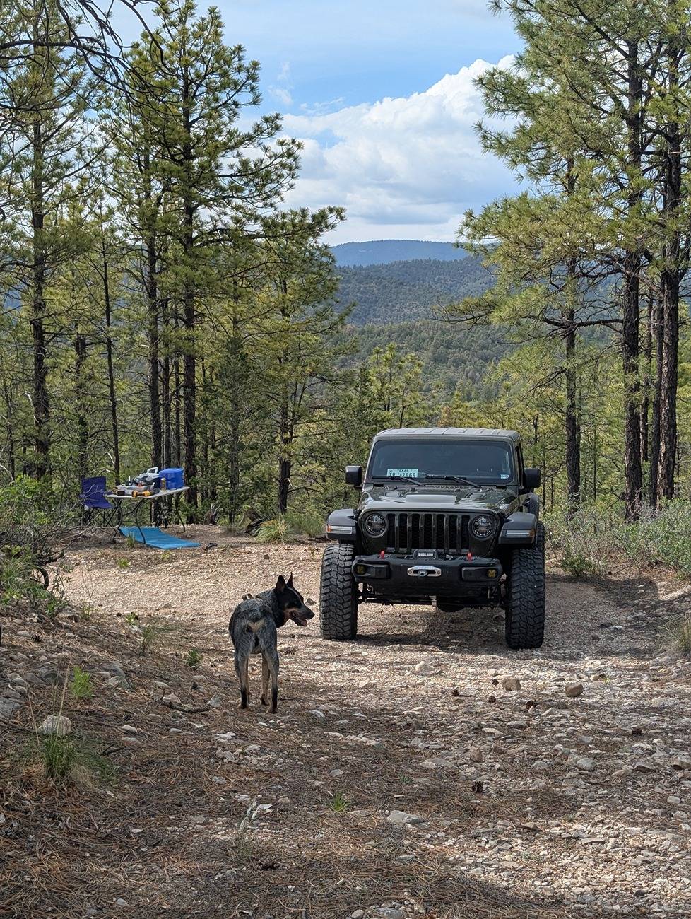 Jeep Gladiator What did you do WITH your Gladiator today? PXL_20250715_224759966.MP