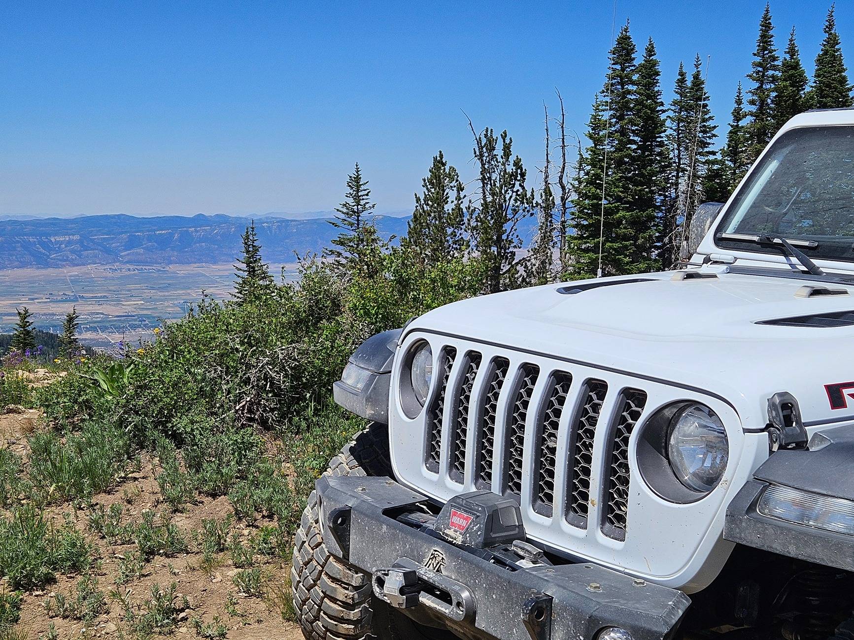 Jeep Gladiator Purchasing Used Gladiator, WANT DIESEL 20250712_123419 (1)