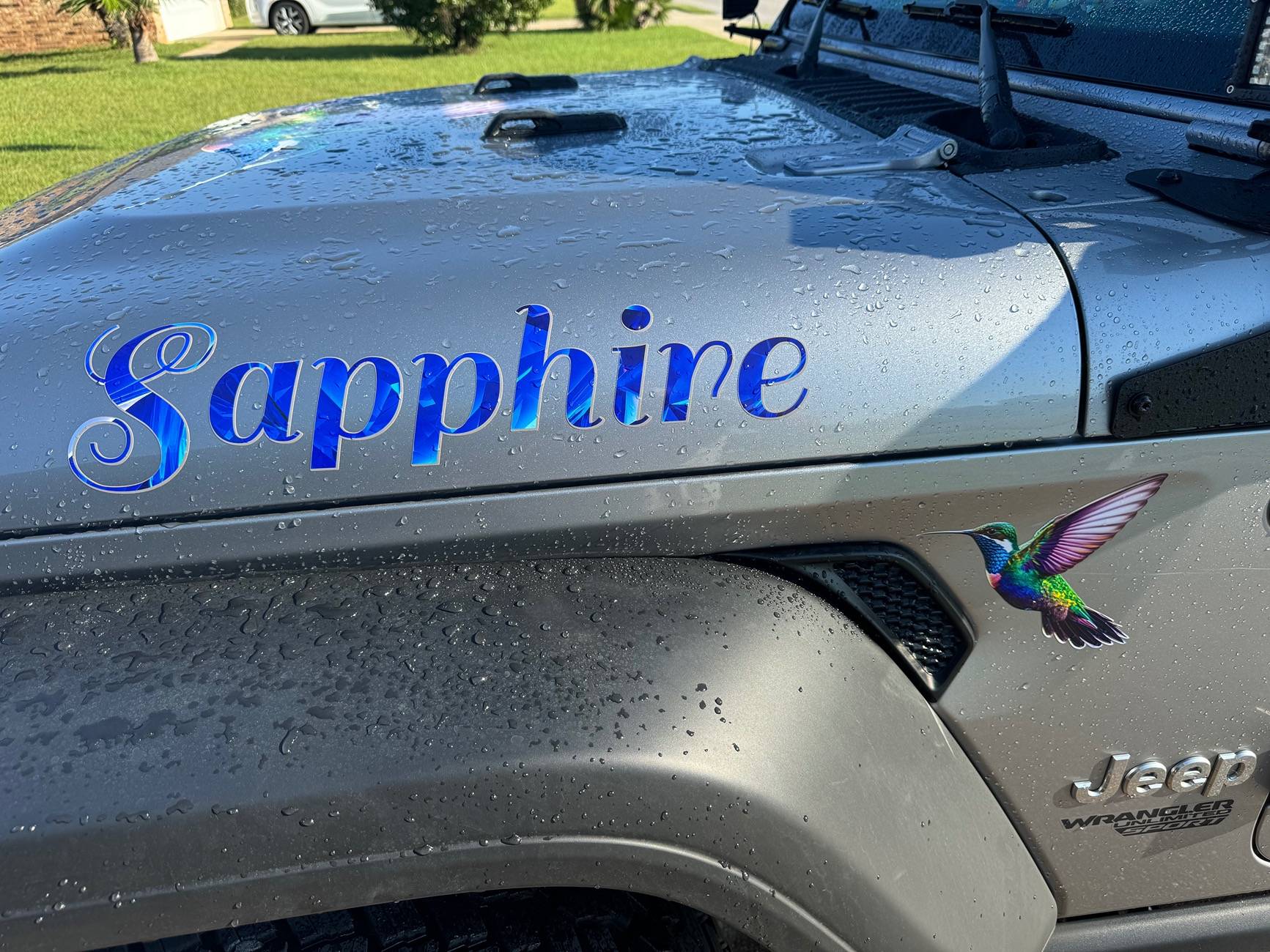Jeep Gladiator Graphics IMG_8343