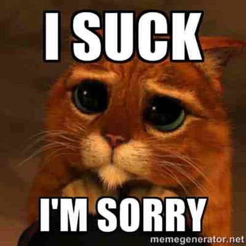 im-sorry-i-suck-meme-2156143743.jpg
