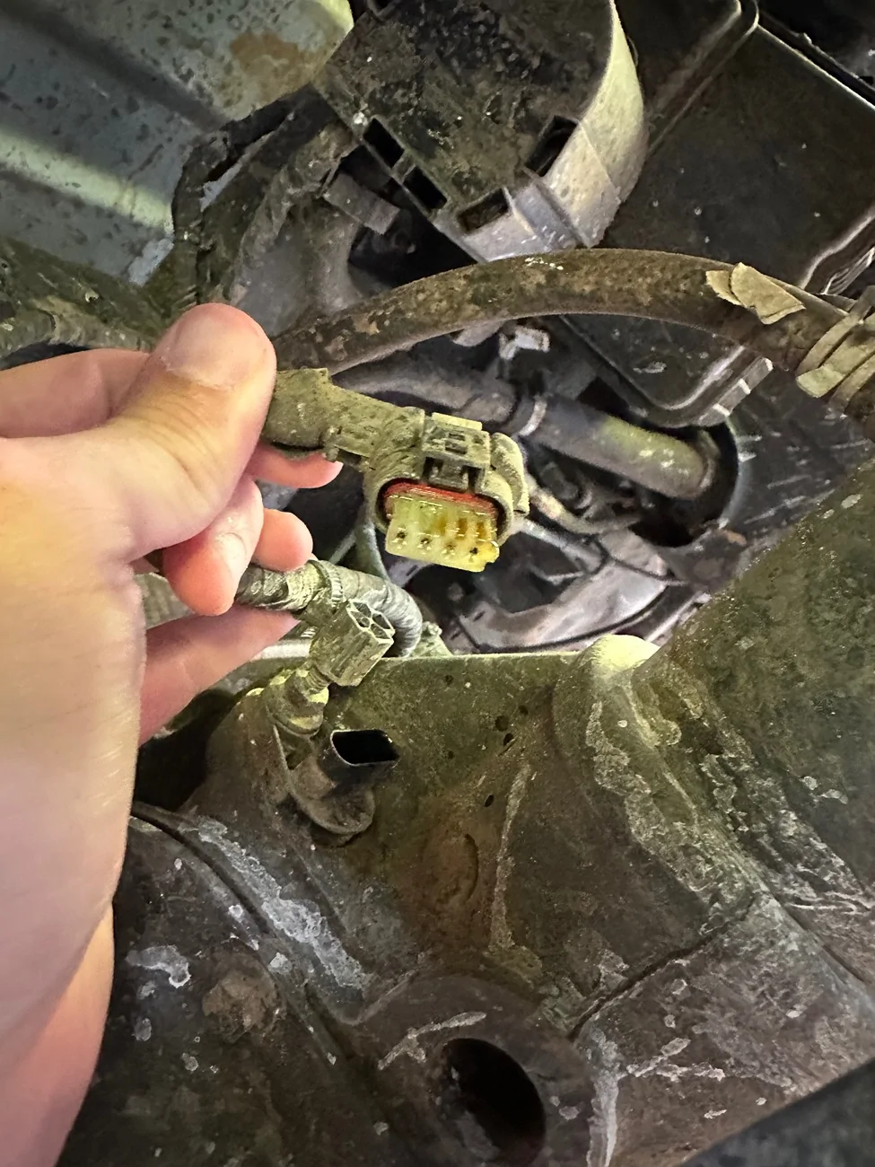 Jeep Gladiator Korisu Build ('22 JTR) IMG_0396