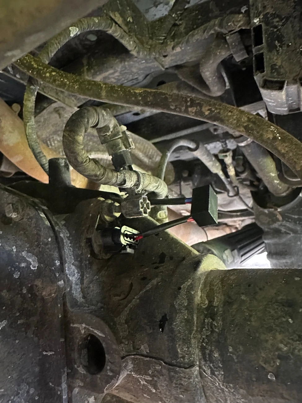 Jeep Gladiator Korisu Build ('22 JTR) IMG_0397