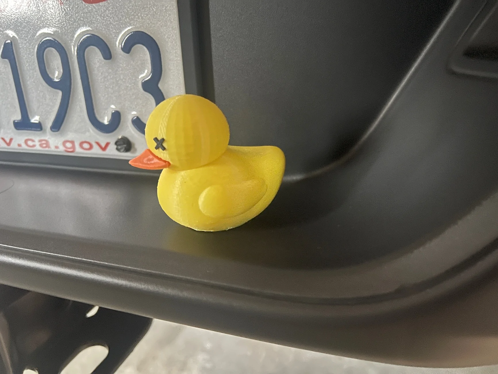 Jeep Gladiator Mopar Ducks. IMG_0512
