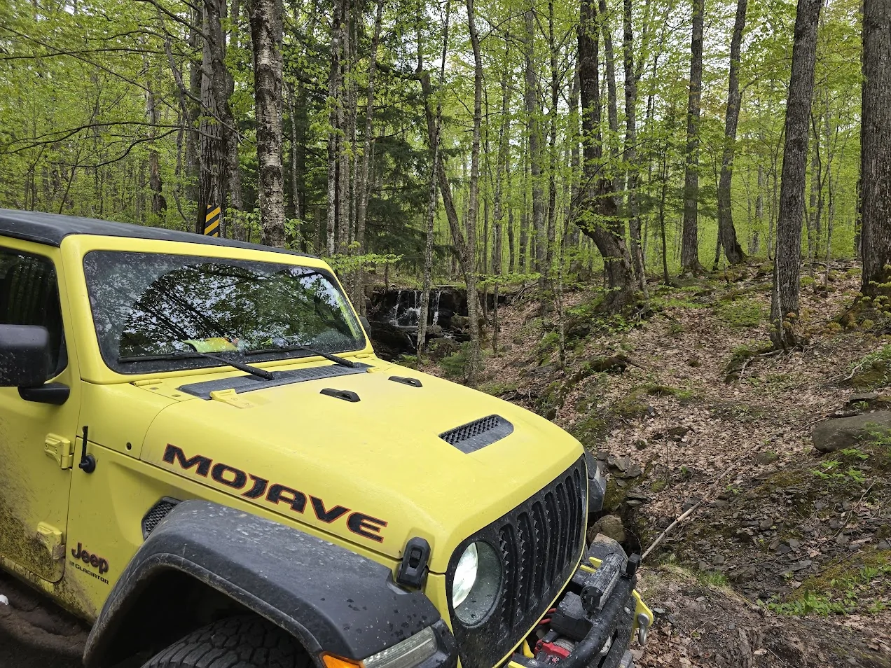 Jeep Gladiator Random Gladiator pics 20250520_192947