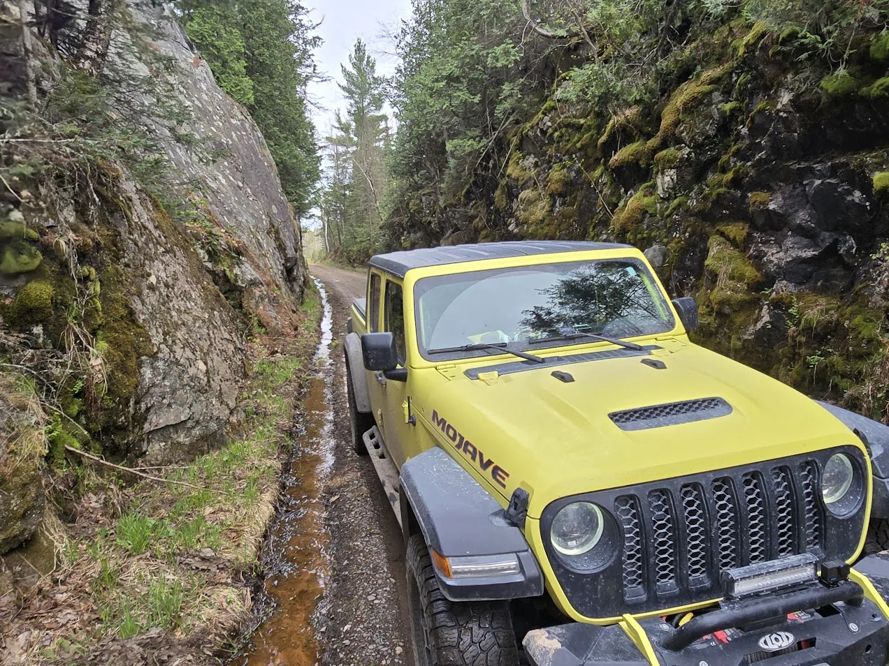 Jeep Gladiator Random Gladiator pics 20250520_164106 (1)