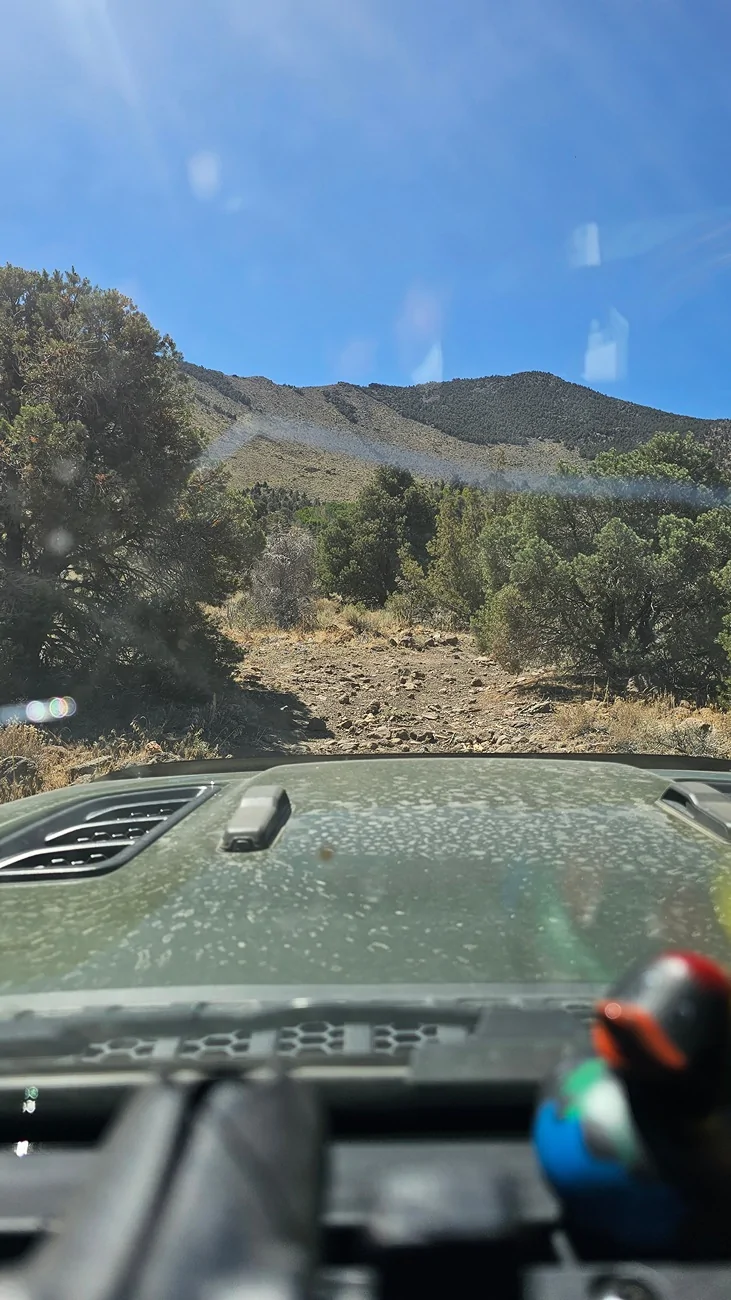 Jeep Gladiator Count me as another who bought oracle tailights and they failed  stick with oracle or buy something else? 20250810_112528